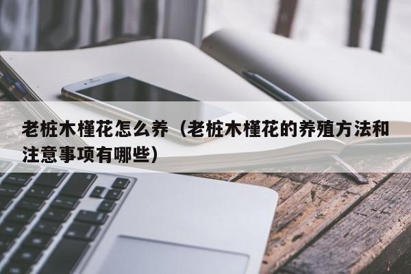 老桩木槿花怎么养（老桩木槿花的养殖方法和注意事项有哪些）