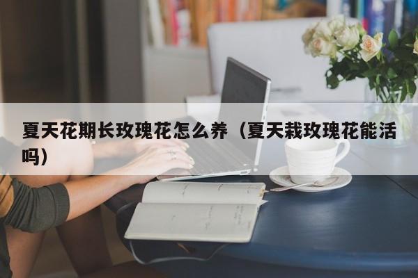 夏天花期长玫瑰花怎么养（夏天栽玫瑰花能活吗）