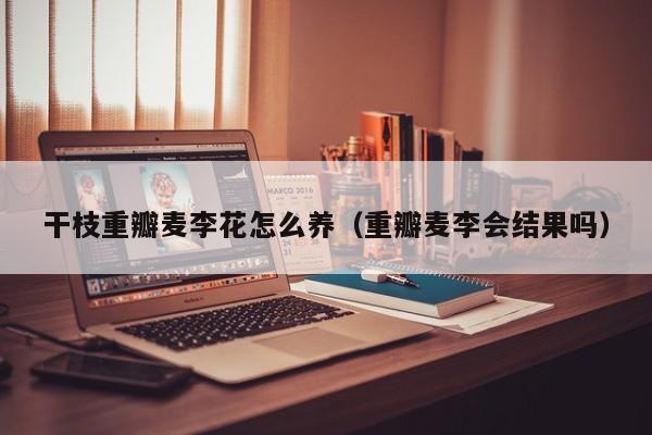 干枝重瓣麦李花怎么养（重瓣麦李会结果吗）