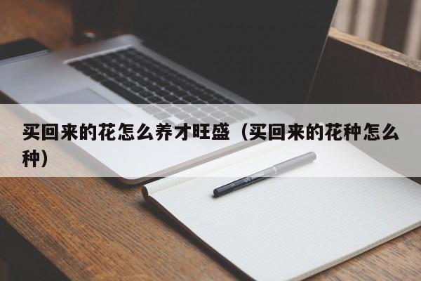 买回来的花怎么养才旺盛（买回来的花种怎么种）
