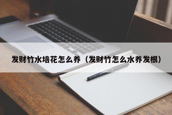 发财竹水培花怎么养（发财竹怎么水养发根）