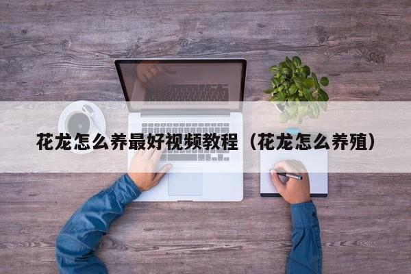 花龙怎么养最好视频教程（花龙怎么养殖）