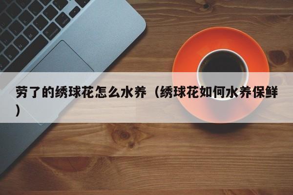 劳了的绣球花怎么水养（绣球花如何水养保鲜）