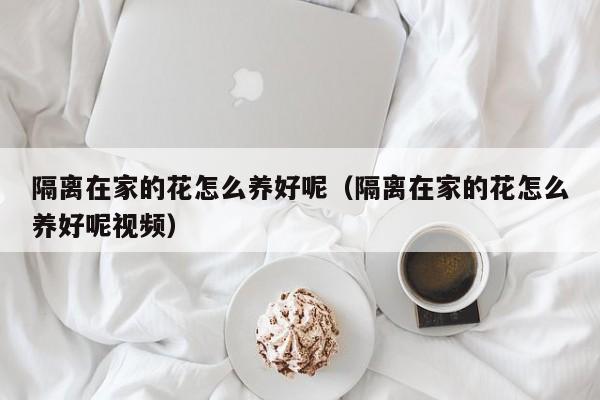隔离在家的花怎么养好呢（隔离在家的花怎么养好呢视频）