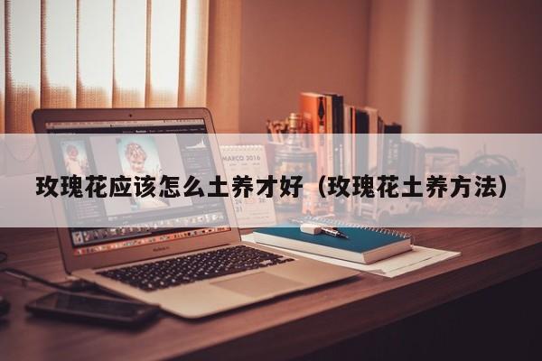 玫瑰花应该怎么土养才好（玫瑰花土养方法）