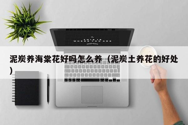 泥炭养海棠花好吗怎么养（泥炭土养花的好处）