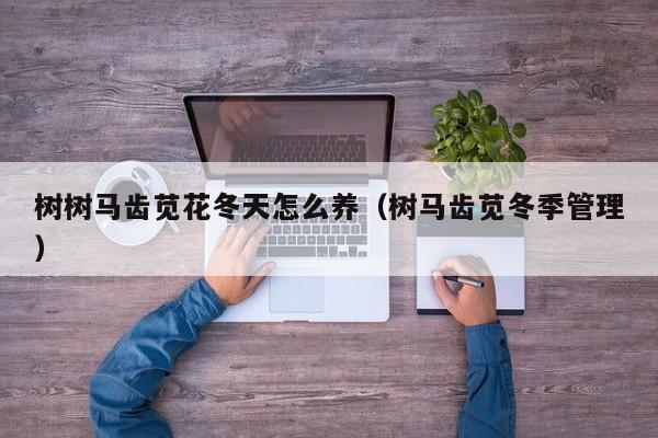 树树马齿苋花冬天怎么养（树马齿苋冬季管理）