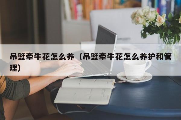 吊篮牵牛花怎么养（吊篮牵牛花怎么养护和管理）