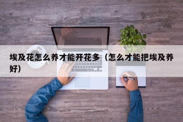 埃及花怎么养才能开花多（怎么才能把埃及养好）