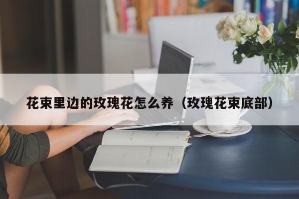 花束里边的玫瑰花怎么养（玫瑰花束底部）