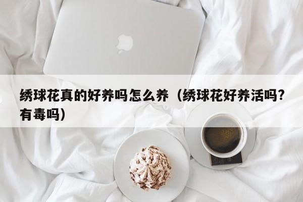 绣球花真的好养吗怎么养（绣球花好养活吗?有毒吗）
