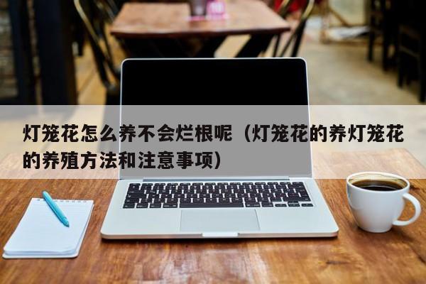 灯笼花怎么养不会烂根呢（灯笼花的养灯笼花的养殖方法和注意事项）