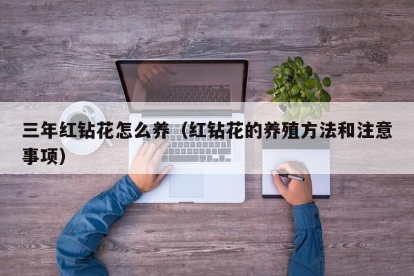 三年红钻花怎么养（红钻花的养殖方法和注意事项）