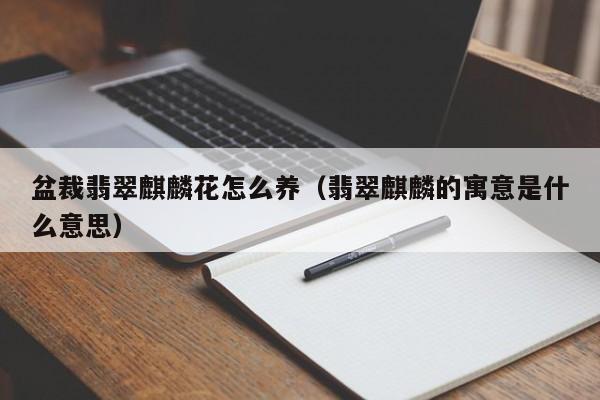 盆裁翡翠麒麟花怎么养（翡翠麒麟的寓意是什么意思）