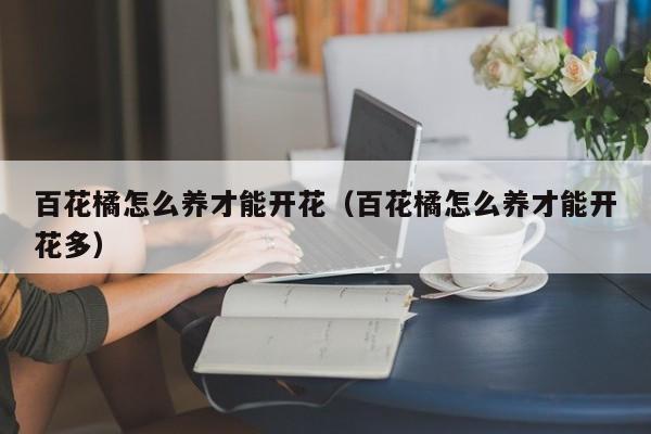 百花橘怎么养才能开花（百花橘怎么养才能开花多）
