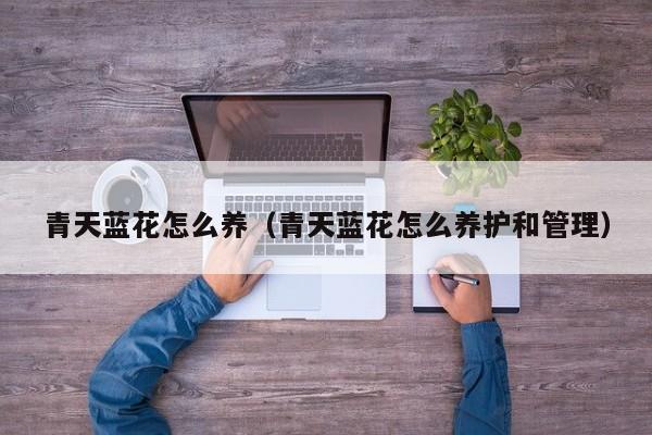 青天蓝花怎么养（青天蓝花怎么养护和管理）