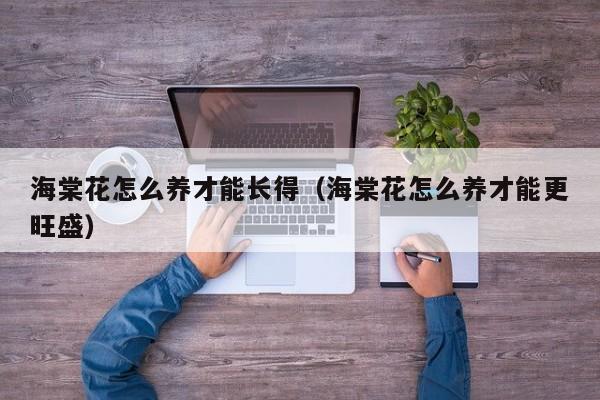 海棠花怎么养才能长得（海棠花怎么养才能更旺盛）