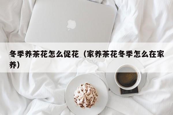 冬季养茶花怎么促花（家养茶花冬季怎么在家养）