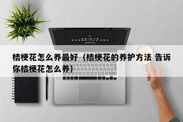 桔梗花怎么养最好（桔梗花的养护方法 告诉你桔梗花怎么养）