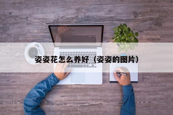 姿姿花怎么养好（姿姿的图片）