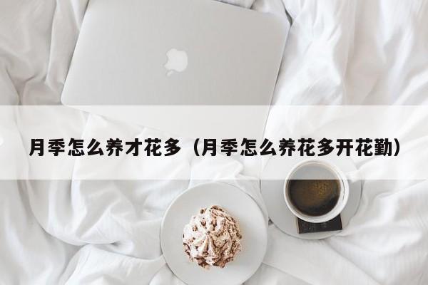 月季怎么养才花多（月季怎么养花多开花勤）