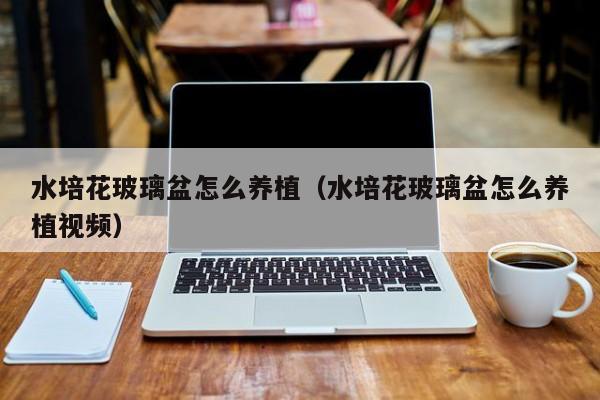 水培花玻璃盆怎么养植（水培花玻璃盆怎么养植视频）