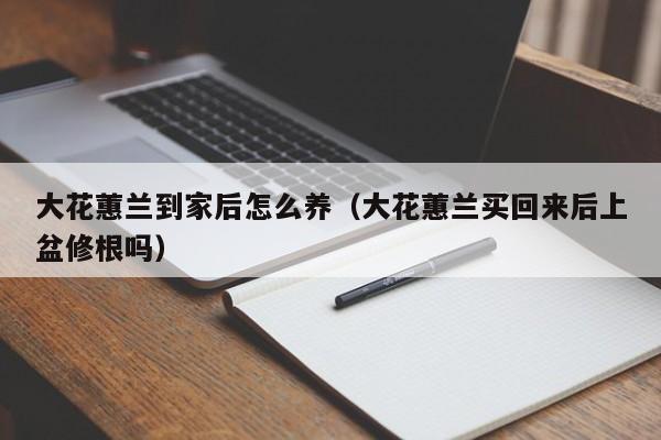 大花蕙兰到家后怎么养（大花蕙兰买回来后上盆修根吗）