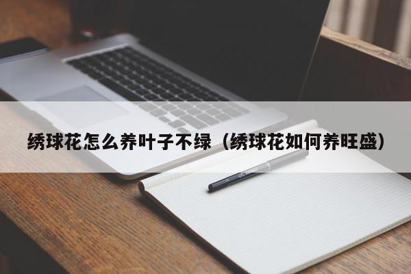 绣球花怎么养叶子不绿（绣球花如何养旺盛）