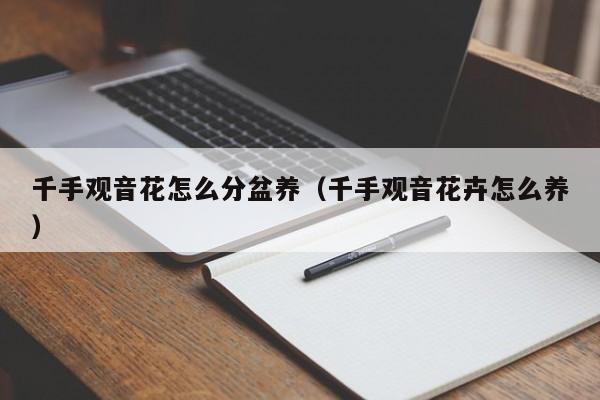 千手观音花怎么分盆养（千手观音花卉怎么养）