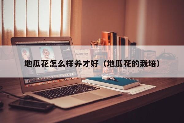 地瓜花怎么样养才好（地瓜花的栽培）