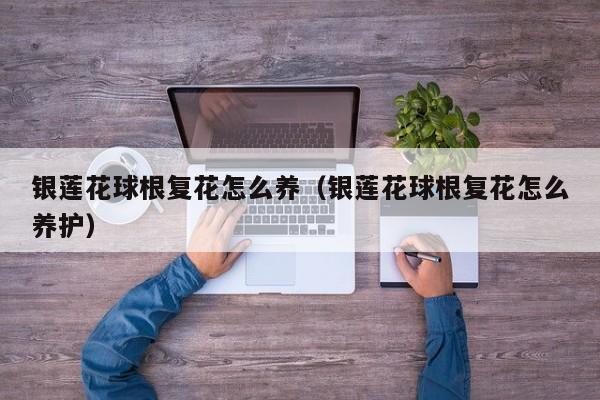 银莲花球根复花怎么养（银莲花球根复花怎么养护）
