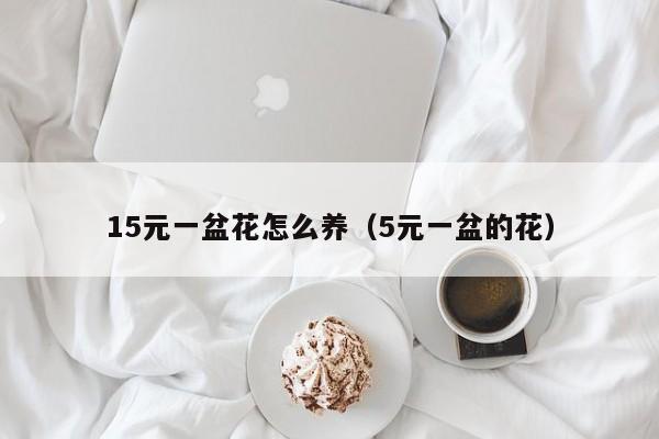 15元一盆花怎么养（5元一盆的花）