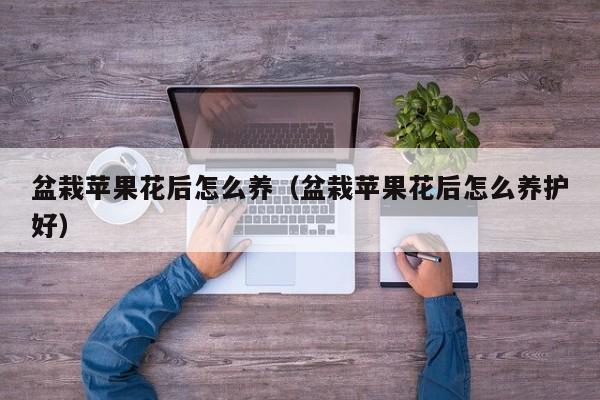 盆栽苹果花后怎么养（盆栽苹果花后怎么养护好）