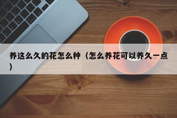 养这么久的花怎么种（怎么养花可以养久一点）