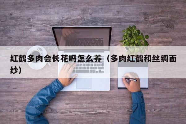红鹤多肉会长花吗怎么养（多肉红鹤和丝绸面纱）