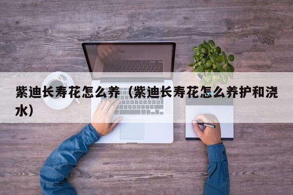 紫迪长寿花怎么养（紫迪长寿花怎么养护和浇水）