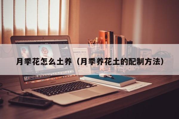 月季花怎么土养（月季养花土的配制方法）