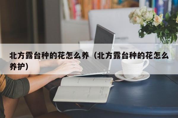 北方露台种的花怎么养（北方露台种的花怎么养护）
