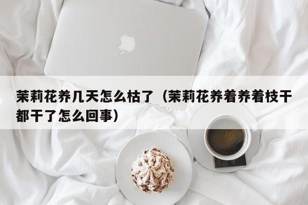 茉莉花养几天怎么枯了（茉莉花养着养着枝干都干了怎么回事）
