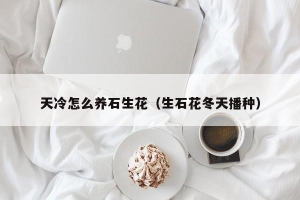 天冷怎么养石生花（生石花冬天播种）