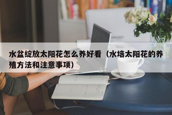 水盆绽放太阳花怎么养好看（水培太阳花的养殖方法和注意事项）