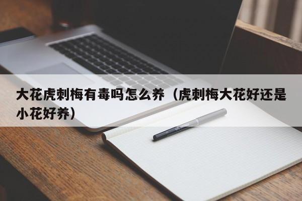 大花虎刺梅有毒吗怎么养（虎刺梅大花好还是小花好养）