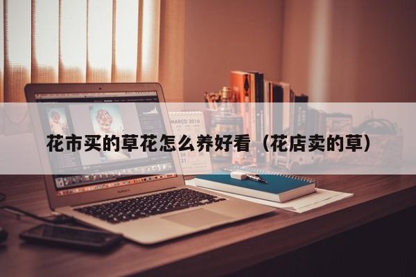 花市买的草花怎么养好看（花店卖的草）