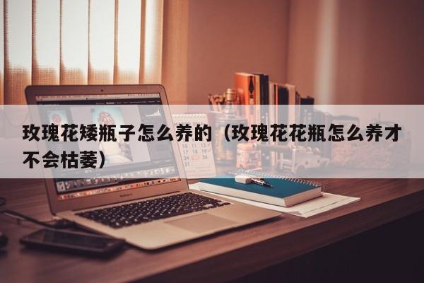 玫瑰花矮瓶子怎么养的（玫瑰花花瓶怎么养才不会枯萎）