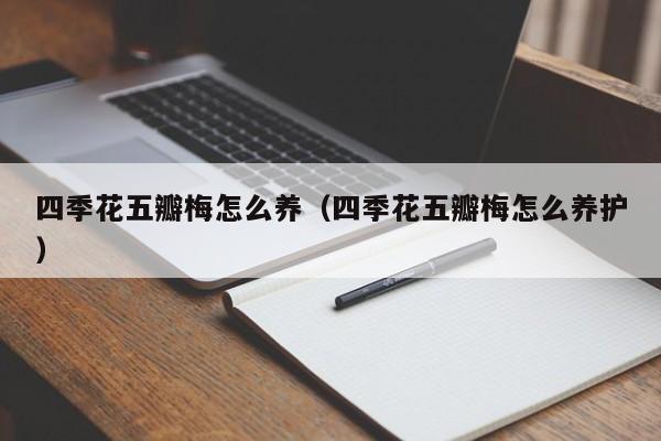 四季花五瓣梅怎么养（四季花五瓣梅怎么养护）