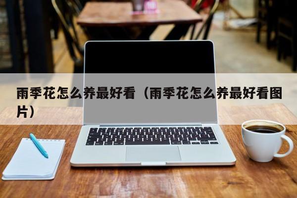 雨季花怎么养最好看（雨季花怎么养最好看图片）