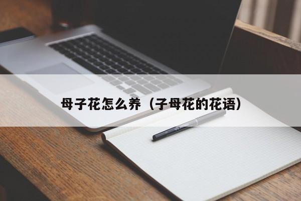 母子花怎么养（子母花的花语）