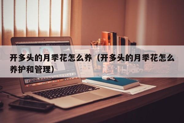 开多头的月季花怎么养（开多头的月季花怎么养护和管理）