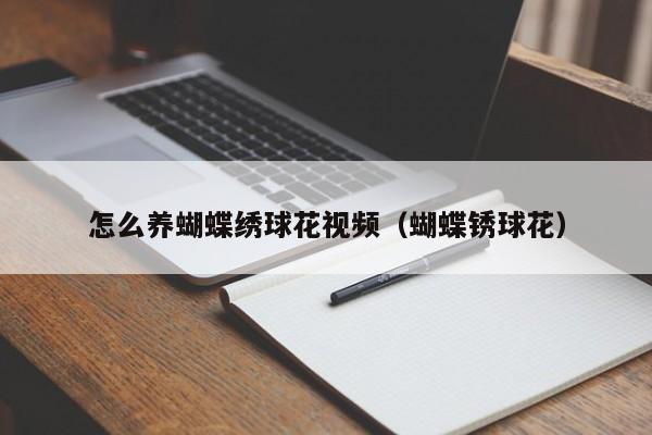 怎么养蝴蝶绣球花视频（蝴蝶锈球花）