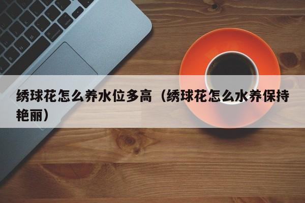 绣球花怎么养水位多高（绣球花怎么水养保持艳丽）